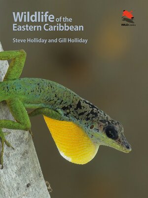cover image of Wildlife of the Eastern Caribbean